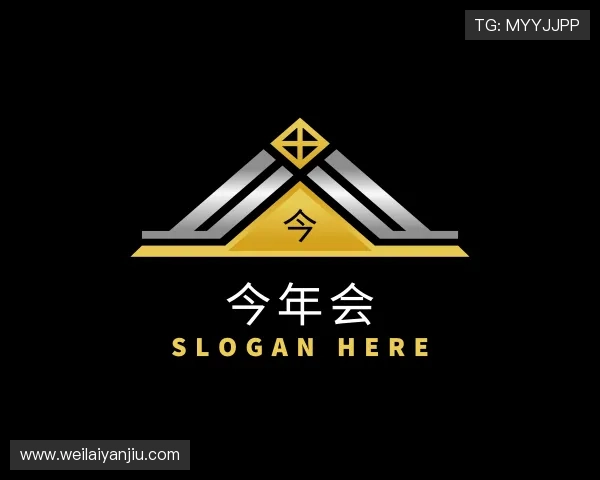 介绍今年会